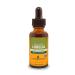 Herb Pharm Lobelia 1 fl oz (30 ml)