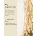 Rice Therapy Rice Bran Foam Cleanser 5.1oz - Deep Cleansing Foam for Oily Skin | Pack of 2 - Gentle Exfoliation for Radiant Skin - Unisex Facial Cleanser - Buy Online on GoSupps.com