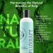 RefluxRaft Acid Reflux Therapy, Organic Alginate, Rapid & Long Lasting Gerd, LPR & Digestion Symptom Support, Zero Sugar, Gluten Free, Low Sodium, Lemon Ginger, 47 Gel Servings Per 8 OZ Bottle, 2 Pack - Buy Online on GoSupps.com