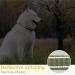 Heele Reflective Nylon Dog Collar - Soft Neoprene Padded for Small to Large Dogs - XS (20-30 cm) - Green - International Shipping Available - Buy Online on GoSupps.com