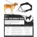 PETTOM Medium Half Choke Dog Collar - Chew Proof Metal Chain Collar for Medium/Large Dogs (M 17-20inch, Black) - Buy Online on GoSupps.com