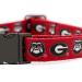 Georgia Bulldogs Custom Handmade Adjustable Nylon Collars and Leashes (XS Collar)