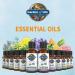 Garden of Life Sweet Orange Essential Oil - 100% Organic, Pure & Non-GMO - 0.5 Fl Oz for Diffuser & Aromatherapy - Buy Online on GoSupps.com