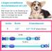 KOSKILL USB LED Dog Collar - Waterproof & Adjustable Luminous Collar for Small Dogs - Super Bright Blue S - Buy Online on GoSupps.com