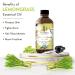 Florona Lemongrass Essential Oil USDA Organic - 4 fl oz | Therapeutic Grade for Hair & Skin Care, Diffuser Aromatherapy - Buy Online on GoSupps.com