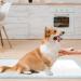 Wave Medical 23x36 50-Pack Disposable Bed Pads for Incontinence - USA-Made Underpads with 6-Layer Fluff & Polymer Core - Ideal for Pets, Puppy Training, Kids & Adults - 50 Count - Buy Online on GoSupps.com