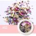 LALAFINA 6sets Shiny Multi Women Manicure Rhinestone Glitter Crystal Home Salon Stones Art Nail Stickers Lovermixed Beautiful Jewelry Ladies Crystals Ornament Accessories Style Glass 4X4X1.5cm Assorted Color - Buy Online on GoSupps.com