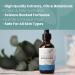 Eva Naturals 100% Pure Moroccan Argan Oil for Hair, Skin, Nails & Face - Natural Hair Oil for Dry, Damaged Hair Growth - 2 oz - Buy Online on GoSupps.com