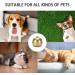 Waterproof GPS Tracker for Pets | IP67 Collar for Dogs/Cats | GSM AGPS WiFi LBS Technology | Track Cattle and Sheep | Locator - Buy Online on GoSupps.com