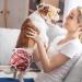 Soft Reusable Dog Diapers for Bitches - High-Suction Incontinence Pants 3-Pack (Pattern 4 M) - International Shipping Available - Buy Online on GoSupps.com