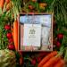 Heathcote & Ivory In The Garden Wellness Gift & Care Hamper | 100ml Body Cream 50ml Body Wash & 200g Bath Salts | Cruelty Free & Vegan Friendly - Buy Online on GoSupps.com