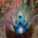 TONSEE Women Peacock Feather Bridal Wedding Hair Clip Pin - Elegant Headpiece for Special Occasions - Buy Online on GoSupps.com