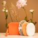 Reusable Sustainable Wash Set Apricot Cosmetic Bag with Makeup Pad Toner and Exfoliator Washable Perfect Travel Set for Women Teens Adults - Buy Online on GoSupps.com