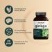 Naturebell Ginkgo Biloba Extract 500mg 300 Capsules | GinkoVida - Memory & Focus Support - Buy Online on GoSupps.com