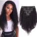 Clip in Extensions Real Hair Kinky Curly Double Tessen For Complete Hair Extension Afro Hair Part 8 Part 18 Clips Natural Black 55cm-125 cm (8-pack) natural black