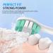 6 Pack Replacement Toothbrush Heads for Philips Sonicare - Sonic Care Brush White - Buy Online on GoSupps.com