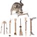 Fanshiontide 6 Packs Silvervine Chew Sticks Cat Chew Sticks Cat Teeth Nip Cat Sticks Cleaning Teeth Chew Catnip Toys Kitten Teething Toys for Cat Teething Cat Teeth Cleaning and Stress Release