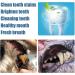 Pet Oral Restoration White Gel Pet Oral Repair Gel Targets Tartars Without Brushing Repair Gel Pet Breath Freshener For Dogs & Cats (3) - Buy Online on GoSupps.com