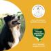 Mammaly Immu Push Snack | Nutritional Supplements & Vitamins for Dogs | Boost Immune System | 30 Snack Packs - Buy Online on GoSupps.com