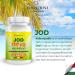Buy Bandini Iodine 150 g Tablets - 120 Potassium Iodide Supports Thyroid Skin & Nerve Health | Vegan & Additive-Free - Buy Online on GoSupps.com