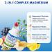 Reacted Magnesium & Potassium - High Absorption Magnesium Supplement with Magnesium Citrate Glycinate Malate - Supports Sleep Muscles Heart Health - 100 Capsules - Buy Online on GoSupps.com