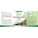 Fairvital | Pumpkin seed extract 500 mg - 90 capsules - 10 times more concentrated with selenium and vitamin E - high - Buy Online on GoSupps.com