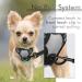 Rabbitgoo No Pull Dog Harness for Small & Large Dogs - Adjustable Breathable Anti-Training Reflective Stripes Safe Guidance - Gray XS (1 Pack) - Buy Online on GoSupps.com
