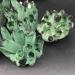 Natural Green Ghost Crystals Cluster Rock Quartz Minerals Rough Stones Home Decoration Suitable for Furniture Decoration Full of Texture (Size : 400-500g) - Buy Online on GoSupps.com