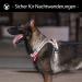 Buy POPOT No Pull Dog Harness - Reflective Front Vest for Daily Training Walking & Running | Red XL - Buy Online on GoSupps.com