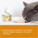 Gimcat Superfood Shinycat Duo Chicken & Carrots - Sugar-Free Cat Food for Adults - 24 Cans (70g Each) - Buy Online on GoSupps.com