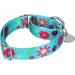 Adjustable Martingale Dog Collars | Heavy-Duty Soft & Smooth for Large & Small Dogs - Blue-Green & Sunflower - Buy Online on GoSupps.com