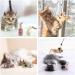 Shop Sunshine Smile Cat Toys Set - Interactive 7-Part Pack for Happy Pets | International Shipping Available - Buy Online on GoSupps.com