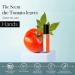 DEMETER Tomato Roll On Perfume Oil 0.33 Oz Long-Lasting - Buy Online on GoSupps.com