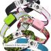 Whistle GO/GO Explore/Twist & Go Pet Collar M - Neck 16-20, Strap width 1, See Me Green - Buy Online on GoSupps.com