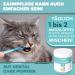 Helloanimal Dental Powder for Dogs & Cats - Tartar Remover Tooth Cleaning & Bad Breath Solution - Buy Online on GoSupps.com