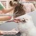 Ciicii 9PCS Professional Dog Grooming Shear Set - 7.5 inch Effilier Scissors & Curved/ Straight Hair Styling Tools for Cats & Dogs - Round Safety Tip - Ideal for Pet Fur Care - Buy Online on GoSupps.com