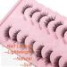 Losha Half Cat Eye Lashes 15mm | 10 Pairs Natural Look Wispy False Eyelashes | Fluffy Short Fake Lashes Pack - L11 - Buy Online on GoSupps.com