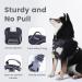 Pawaii Dog Harness for Small Dogs - Adjustable Breathable & Anti-Pull - Reflective Design - Perfect Fit (Chest: 43cm-55cm) - Davys Gray - Buy Online on GoSupps.com