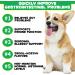 Probiotics Chews for Dogs - Digestive Enzyme Gut Health Natural Organic Digestive Probiotic Soft Chews for Pet Immune System for All Type Dogs - 120 Chew Duck - Buy Online on GoSupps.com