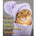 Fluffy Feline Cat Dandruff Care Spray - Buy Online at [Your Company Name] - Buy Online on GoSupps.com