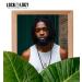 Loc Spray Coconut and Mango Dreads Moisturizer Daily Moisturizing Spray and Hydrating Mist Dreadlock Hair Product Lockology - Buy Online on GoSupps.com