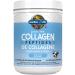 Grass Fed Collagen Peptides | 10g Collagen Per Serving & Raw All-in-One Nutritional Shake Chocolate Cocoa Collagen + Shake - Buy Online on GoSupps.com