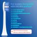 Sonicare Replacement Heads Compatible with Philips Sonicare - ForC2 ForC1 ForC3 Electric Toothbrush Brush Heads - Click-on/Snap-on KD-D1 - Buy Online on GoSupps.com