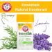 Arm & Hammer Essentials Deodorant Fresh 2.5 oz. (Pack of 2) Rosemary Lavender 2.5 Ounce (Pack of 2) - Buy Online on GoSupps.com