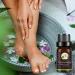 Mingchengheng Chamomile Oil - 100% Natural Essential Oil for Soothing & Moisturizing (10ml) | Perfect for Veins - Buy Online on GoSupps.com