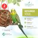 Vogelgaleria 2 Set Business Hay Pasture Ball 10cm - Best Budgie Toy for Climbing & Nibbling | Handmade Bird Accessories - Buy Online on GoSupps.com