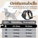 Rabbitgoo Dog Harness for Small Dogs - Adjustable No-Choke Reflective & Padded Chest Harness - Anti-Pull with Handle - Black (1 Pack) - Buy Online on GoSupps.com