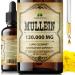 HERBALICIOUS Mullein Drops for Lungs Organic Lung Cleanse Supplement with Mullein Leaf Extract (Verbascum Thapsus) Vegan Non-GMO Liquid Formula 4 Fl Oz
