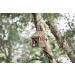 Garden Mile 2x Natural Wooden Bird Houses - Traditional Hanging Wild Bird Nesting Boxes for Outdoor Garden Decor - Buy Online on GoSupps.com