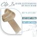 Runature Clip in Real Hair Extensions - 25cm Blond Highlight - 80g 7PCS Invisible Clips - Dark Ash Blonde #16P22 - Buy Online on GoSupps.com